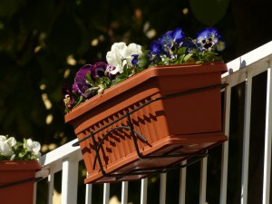 balcony-plants-357702_1280